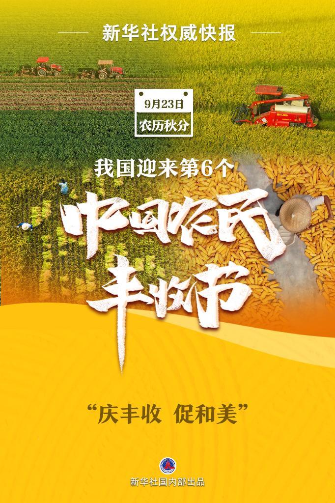 连环夺宝机器出分周期